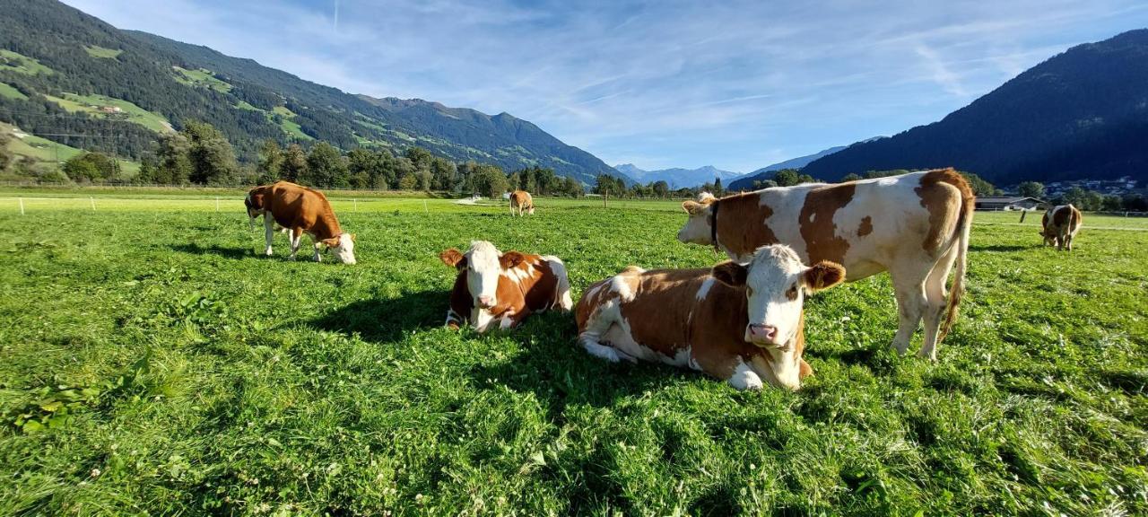Brixnerhof Im Zillertal Hotel ชลิทเทอร์ส ภายนอก รูปภาพ