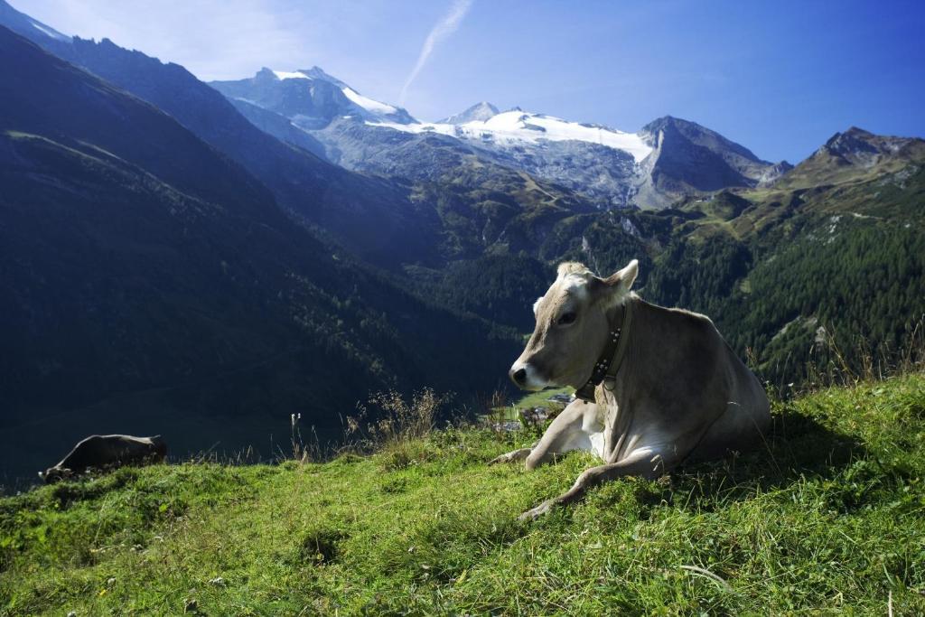 Brixnerhof Im Zillertal Hotel ชลิทเทอร์ส ภายนอก รูปภาพ